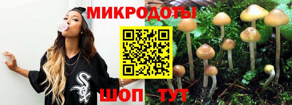 Псилоцибиновые грибы Cubensis Борзя