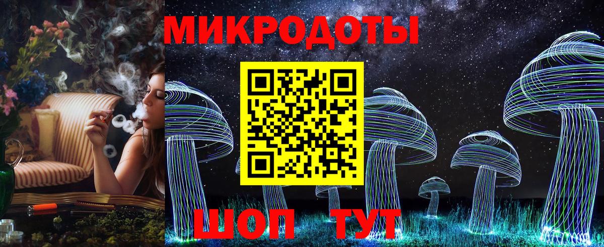 Борзя  Галлюциногенные грибы Psilocybe  что такое наркотик  Вход с VPN  Галлюциногенные грибы мухоморы 